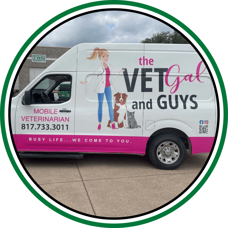 The Vet Gal van wrapped by sign shop in Dallas Fort Worth